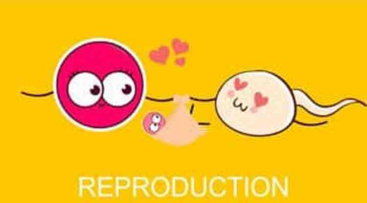 image_750x415_5eba7fac82485