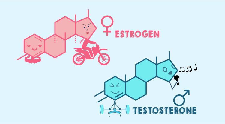 Growth hormones: All you need to know